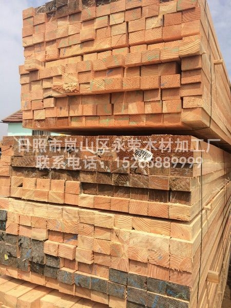 花旗鬆建築橙子视频污版APP